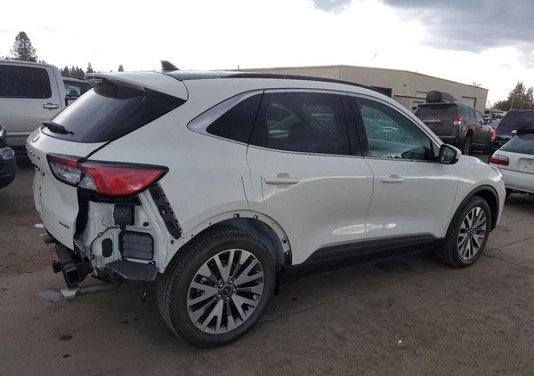Ford Escape cena 56000 przebieg: 12294, rok produkcji 2022 z Kosów Lacki małe 67